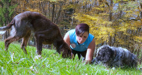 Karin Fleer von der Sniff Dog Company beim Training