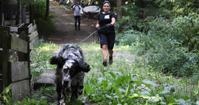 Mystery Spurensuche bei der Sniff Dog Company